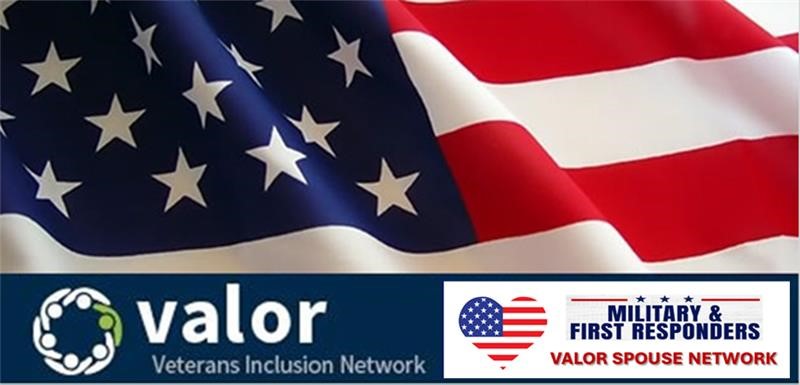 VSN military spouse program
